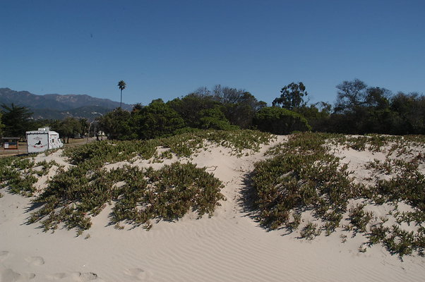 DSC 4880