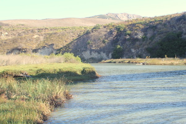 IMG 9598