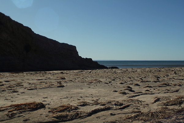 IMG 9601