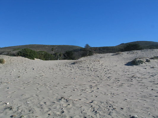 Jalama Beach.23