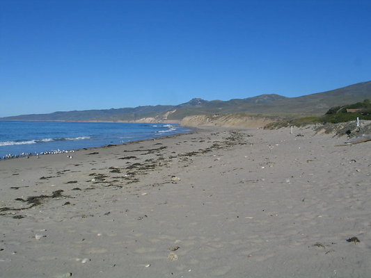 Jalama Beach.13