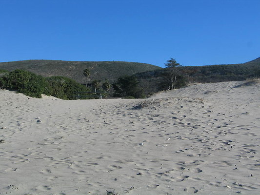 Jalama Beach.24