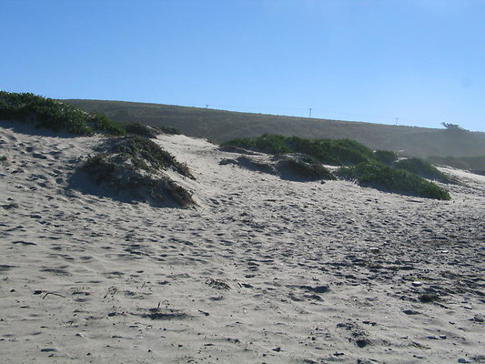 Jalama Beach.04