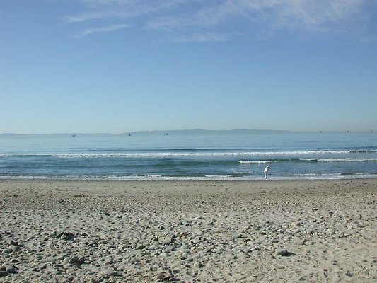 Carp Beach 1-1011