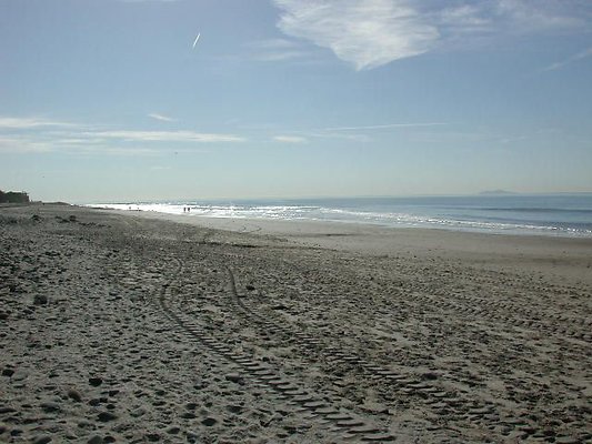 Carp Beach 1-1010