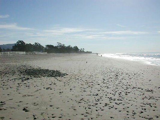 Carp Beach 1-1002