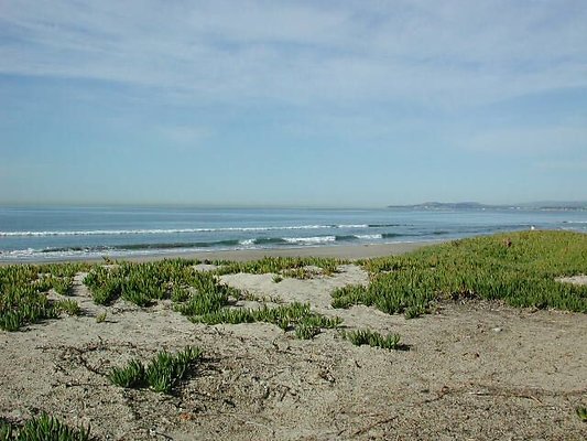 Carp Beach 1-1005