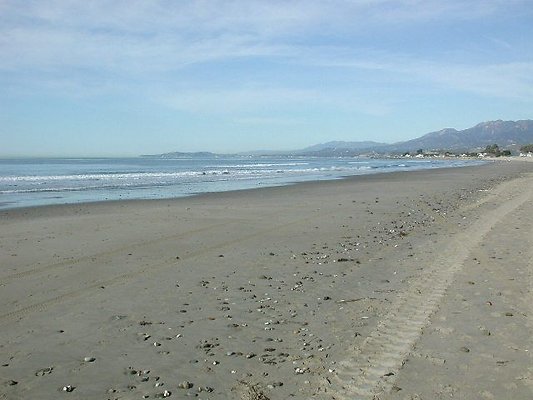 Carp Beach 1-1015