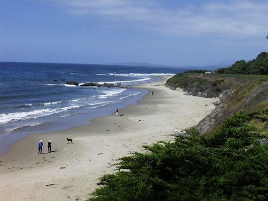 Carp Beach 1-1017