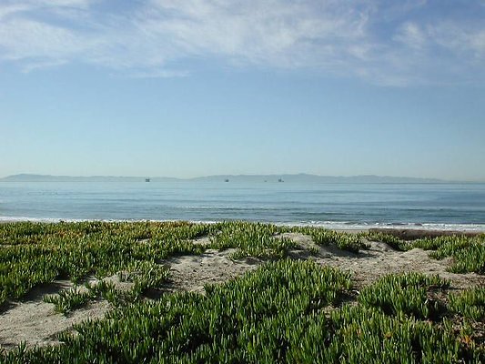 Carp Beach 1-1004