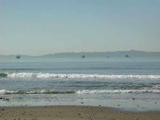 Carp Beach 1-1016
