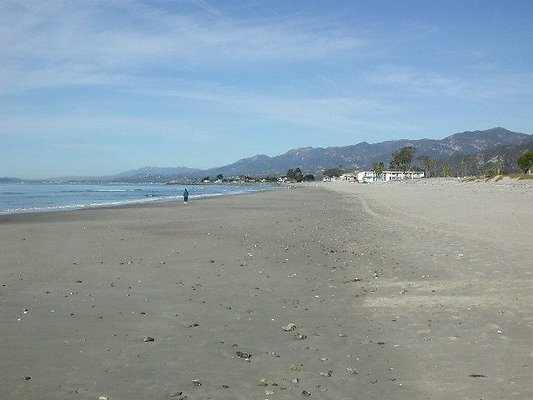 Carp Beach 1-1012