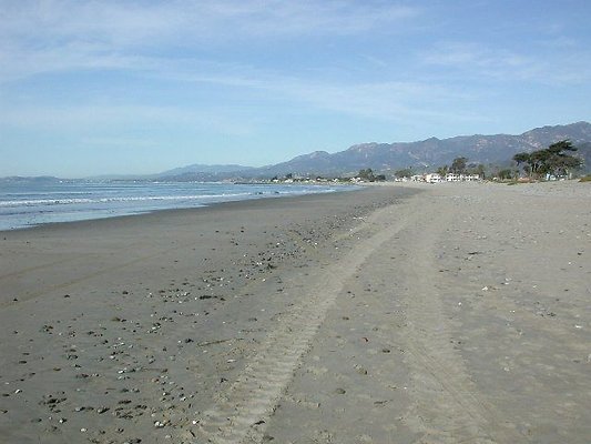 Carp Beach 1-1003