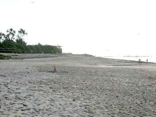 Carp Beach 1-1013