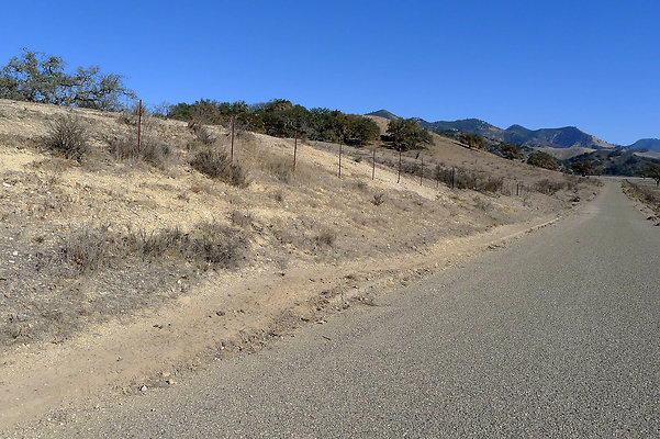 Roads Zaka Lake Road