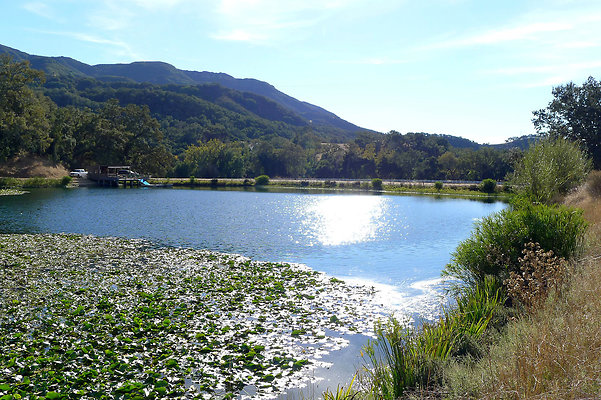 Bush.Pond.SB.15