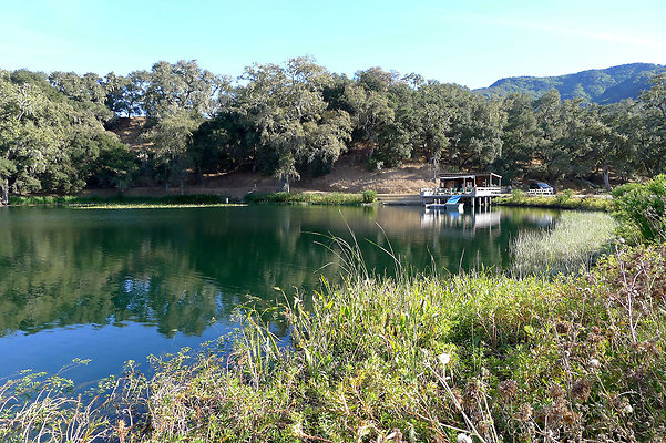 Bush.Pond.SB.22