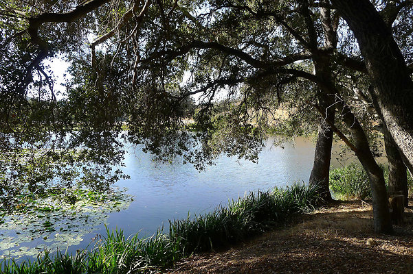 Bush.Pond.SB.10