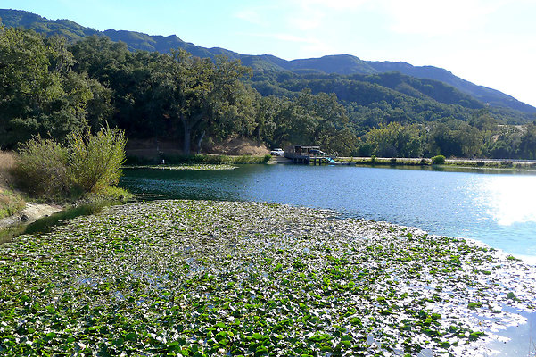 Bush.Pond.SB.14