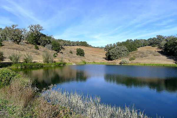 Bush.Pond.SB.25