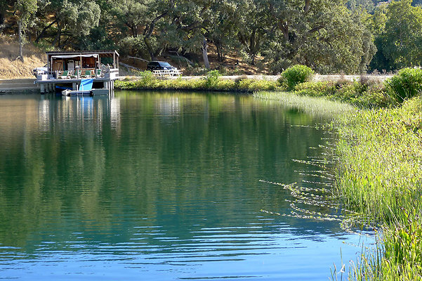 Bush.Pond.SB.20