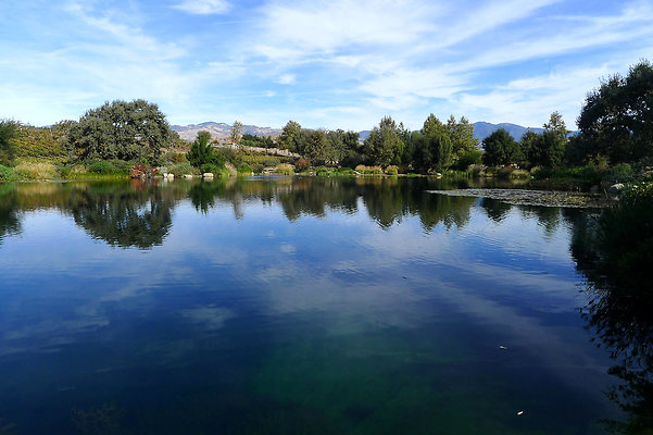 Grasini..Pond.SB.21