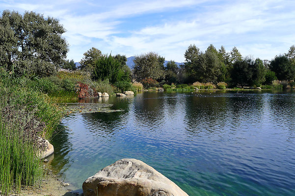 Grasini..Pond.SB.13