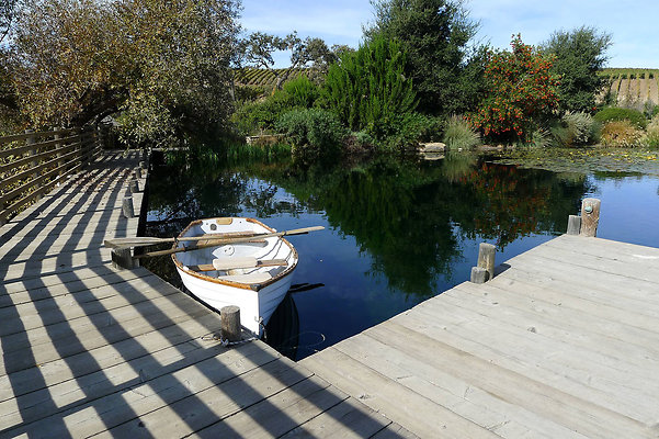 Grasini..Pond.SB.19
