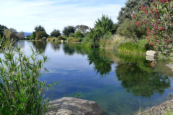 Grasini..Pond.SB.08