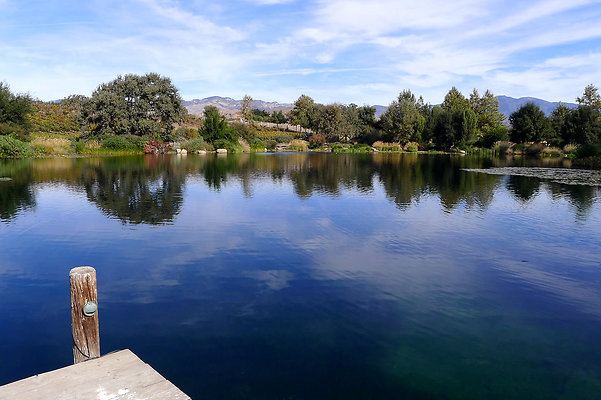 Grasini..Pond.SB.31