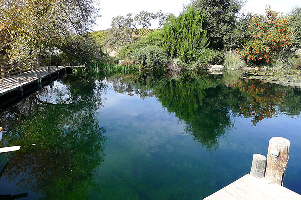 Grasini..Pond.SB.29