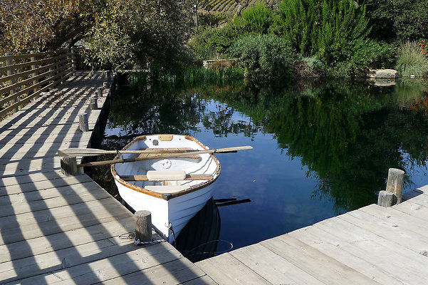 Grasini..Pond.SB.22