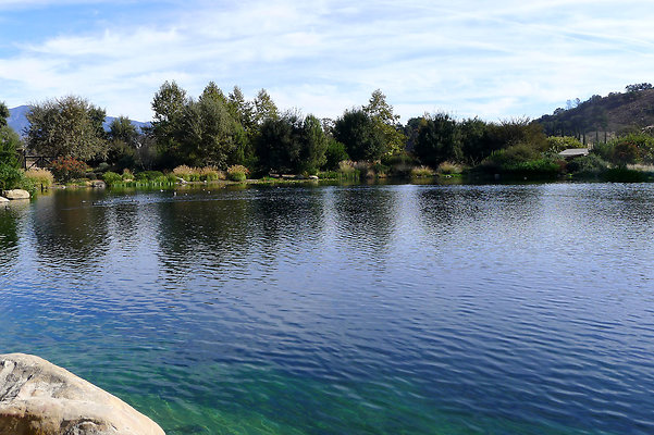 Grasini..Pond.SB.14