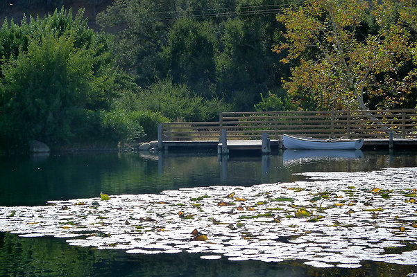 Grasini..Pond.SB.17