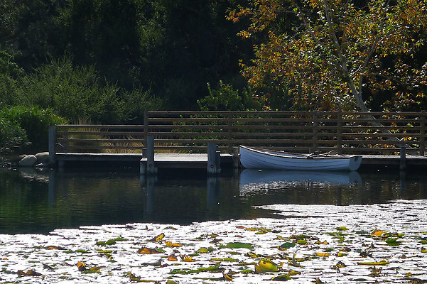 Grasini..Pond.SB.18
