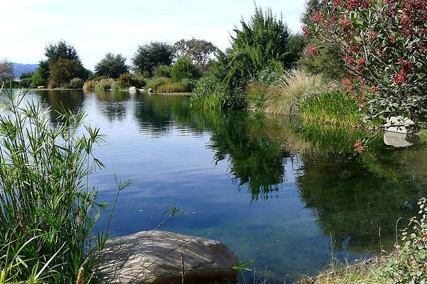Grasini..Pond.SB.09