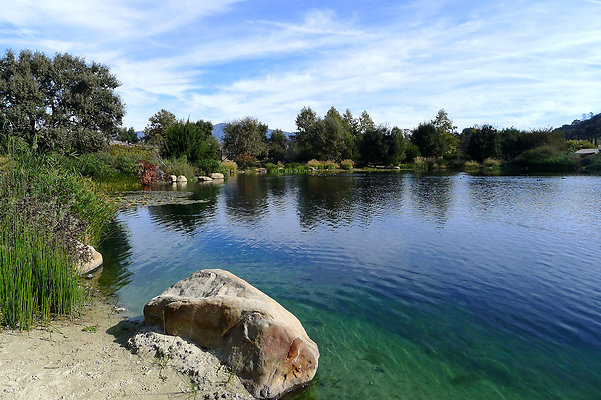 Grasini..Pond.SB.12