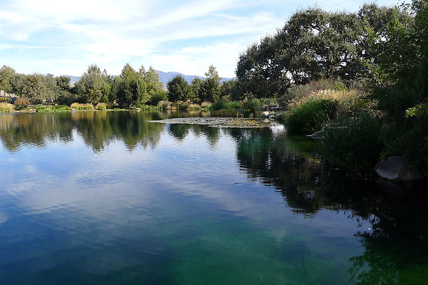 Grasini..Pond.SB.32