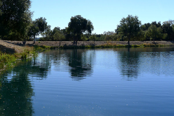 D2 Pond Mesa Ranch