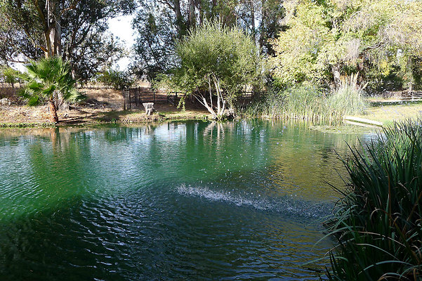 Karen.Pond.SB.11