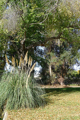 Karen.Pond.SB.19
