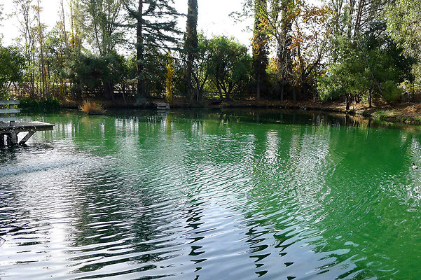 Karen.Pond.SB.05