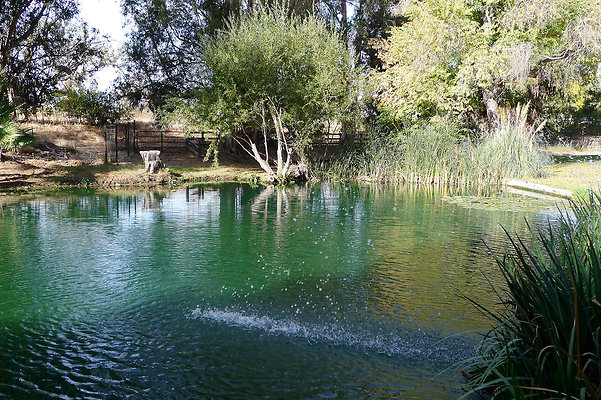 Karen.Pond.SB.12