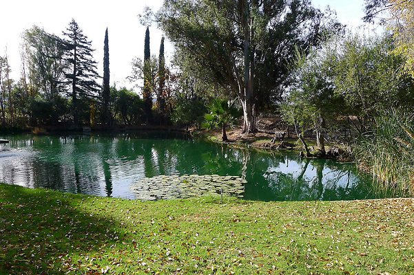 Karen.Pond.SB.03