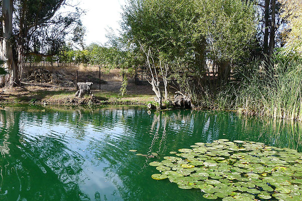 Karen.Pond.SB.06