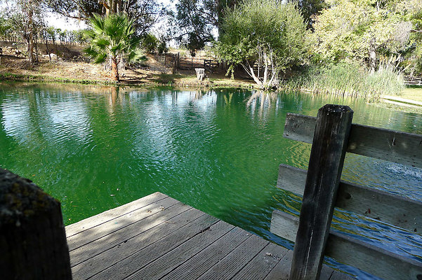 Karen.Pond.SB.09