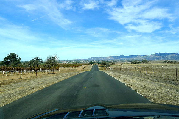 Roads.Meadowlark.19