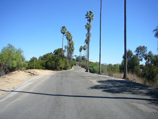 Elysian Park - Los Angeles