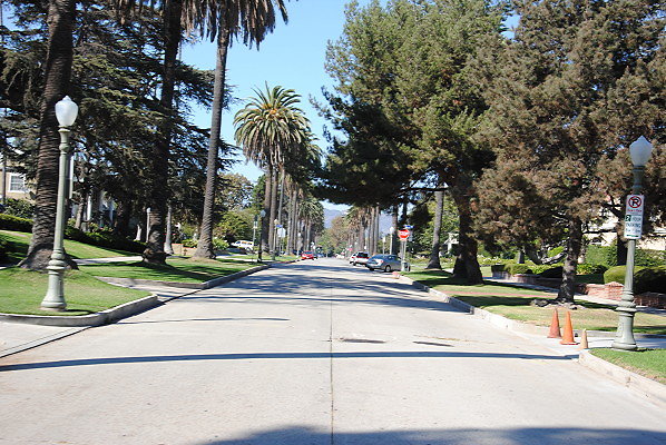 DSC 0184