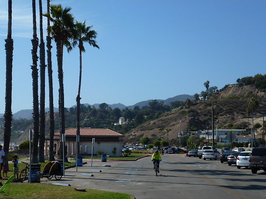 P1010785